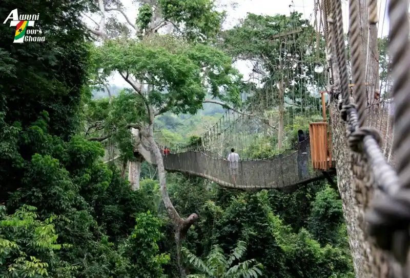 Best Places to Visit in Ghana: Cultural Heritage & Famous Landmarks 57 Kakum National Park